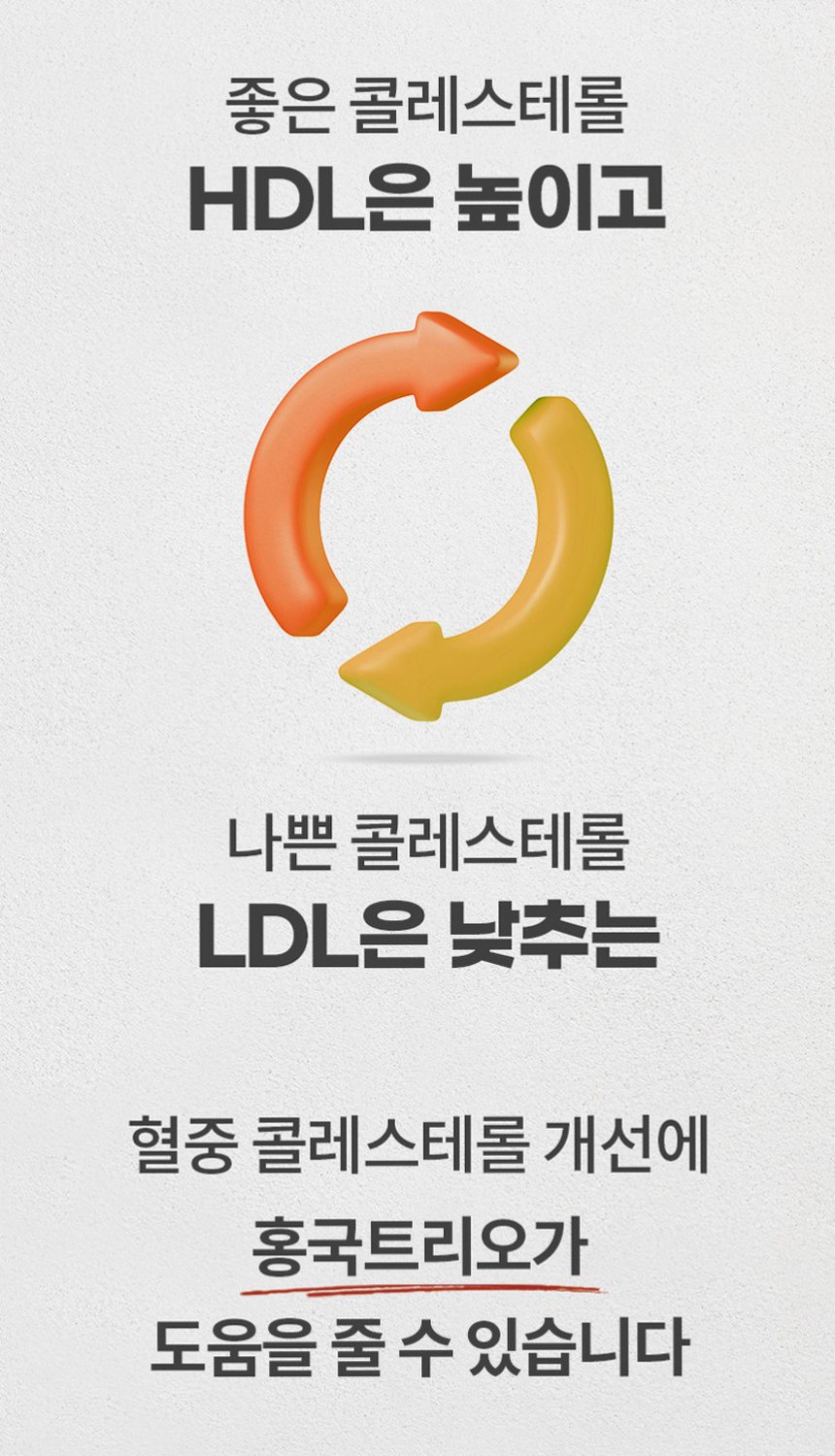 홍국트리오 메가 중성지방 콜레스테롤 낮추는 HDL LDL 홍국영양제 60정, 1개
